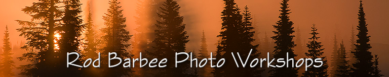 Rod Barbee Photo Workshops and Tours