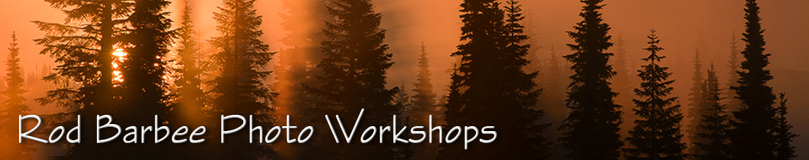 Rod Barbee Photo Workshops and Tours