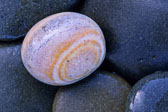 Olympic National Park, May 15-19, 2019