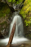 Olympic National Park, May 15-19, 2019