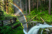 Olympic National Park, May 15-19, 2019